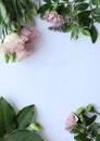 Flowers composition on white background. Flat lay, top view. Royalty Free Stock Photo