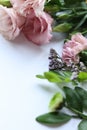 Flowers composition on white background. Flat lay, top view. Royalty Free Stock Photo