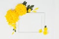 White border with yellow chrysanthemums daisy flowers on white b Royalty Free Stock Photo