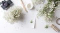 Flowers composition. White gypsophila flowers on white background. Flat lay, top view, copy space.