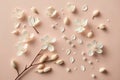 Flowers composition. White flowers on pastel pink background. Flat lay, top view, copy space