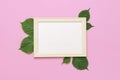 Flowers composition. White wooden photo frames with blank paper, fresh green hydrangea leaves on pink background. Flat lay top Royalty Free Stock Photo