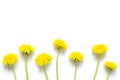 Flowers composition. Yellow flowers of dandelions on white background. Top wiev. Royalty Free Stock Photo