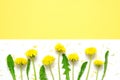 Flowers composition. Yellow flowers of dandelions on white background. Top wiev. Royalty Free Stock Photo