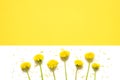 Flowers composition. Yellow flowers of dandelions on white background. Top wiev. Royalty Free Stock Photo