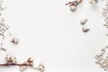 Flowers of cotton, sea stones and two small ceramic birds isolated on white background. Close up, copy space, mock up