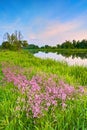 Flowers countryside spring landscape blue sky river Royalty Free Stock Photo