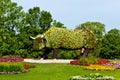 Flowers cow in Ventspils