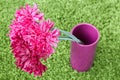 Flowers in a crimson ceramic vase