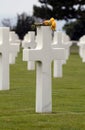 Flowers on cross in cemetery Royalty Free Stock Photo