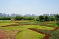 Flowers cultivated in pentacle pattern on lawn near modern city