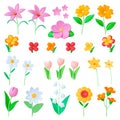 Flowers 3d elements. Summer flower toy, clay render plasticine imitation. Color tulips, chamomile, grass. Isolated daisy