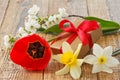 Flowers of daffodils, tulip and jasmine with gift box on wooden boards