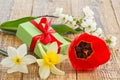 Flowers of daffodils, tulip and jasmine with gift box on wooden boards