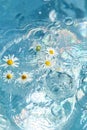 Flowers of daisies on a blue water surface. splashes, splashes and drops in the pool. summer mood, beautiful creative festive Royalty Free Stock Photo