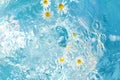 Flowers of daisies on a blue water surface. splashes, waves and drops in the pool. summer mood, beautiful creative festive