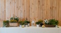 Flowers decorate on the dinning long table in the luxury relax event with the wood plate background Royalty Free Stock Photo