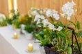 Flowers decorate on the dinning long table in the luxury relax event with the wood plate background Royalty Free Stock Photo