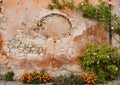 Flowers decorate a wall