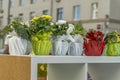 Flowers in decorated pots on shelf outdors