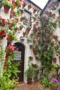 Flowers Decoration of Courtyard, typical house in Spain, Europe