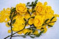Flowers decoration photography spring motif yellow roses with green branches. Royalty Free Stock Photo