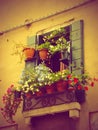 Flowers decoration in Venice, Italy Royalty Free Stock Photo