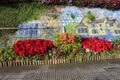 Flowers decoration on wall and street