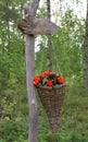 Flowers in decorative basket