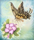 Flowers Desert Rose And Butterfly