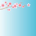 Flowers design. Branch of Sakura on light blue gradient background. Apple-tree flowers. Cherry blossom. Vector