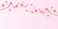 Flowers design. Branch of Sakura on light pink background. Apple-tree flowers. Cherry blossom. Vector EPS 10 cmyk Royalty Free Stock Photo