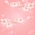 Flowers design. Branches of sakura with flowers. Cherry blossom on pink Bokeh Background. Vector EPS 10, cmyk