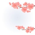 Flowers design. Branches of Sakura isolated on light blue background. Apple-tree flowers. Cherry blossom. Vector EPS 10 cmyk