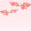 Flowers design. Sakura blossoms. Branch of sakura with flowers. Cherry blossom branch on pink bokeh background. Vector Royalty Free Stock Photo