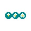 3 flowers with different number of petals in blue circles. Growing process vector flat icon Royalty Free Stock Photo