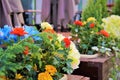 Flowers, dinning tables on the veranda of a street cafe.