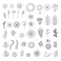 Flowers doodle. Simple floral botanical collection leaves flowers branches vector organic nature symbols for wedding