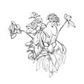 Flowers doodle sketch isolated vector Royalty Free Stock Photo