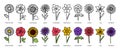 Flowers. Doodle vector set. Hand drawn line sketch floral collection. Types of flowers with names. Chamomile, rose, sunflower,