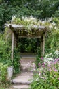 Flowers drape over and surround an old wooden pergola in the garden. Royalty Free Stock Photo