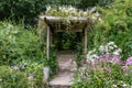 Flowers drape over and surround an old wooden pergola in the garden. Royalty Free Stock Photo