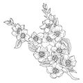 1467 flowers, drawing in black and white, branch with flowers, vector illustration, isolate on a white background Royalty Free Stock Photo