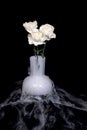 Flowers and dry ice in a vase Royalty Free Stock Photo