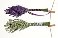 Flowers drying on clothesline