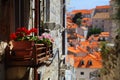 Flowers in Dubrovnik, Croatia Royalty Free Stock Photo