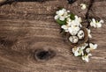 Flowers and easter nest, eggs, wooden background