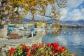 Flowers in embankment of town of Vevey and Lake Geneva, Switzerland Royalty Free Stock Photo
