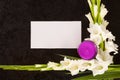 Gladioly flowers with blank paper for obituary notice. Royalty Free Stock Photo