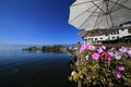 Flowers on the Erhai lake of yunnan Royalty Free Stock Photo